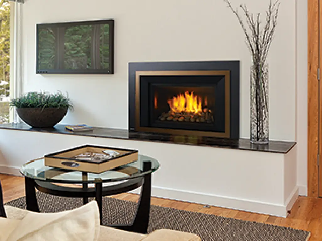Gas Fireplace Inserts