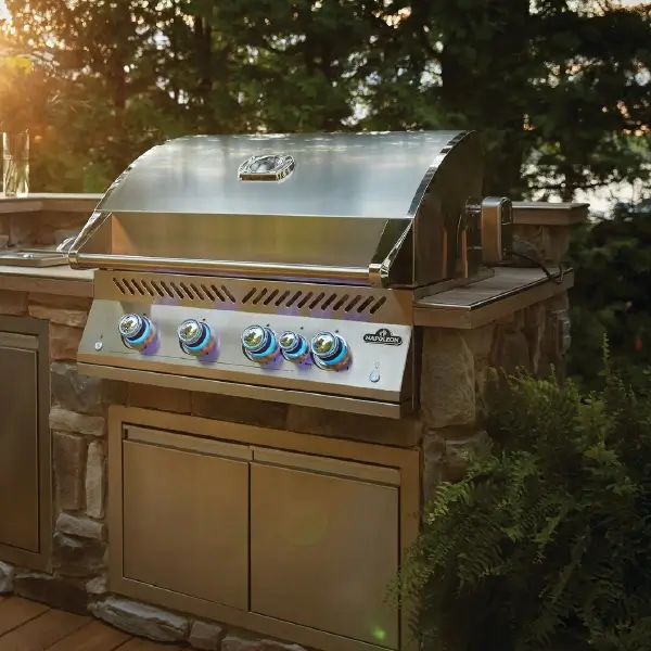 Propane vs Electric - Efficiency